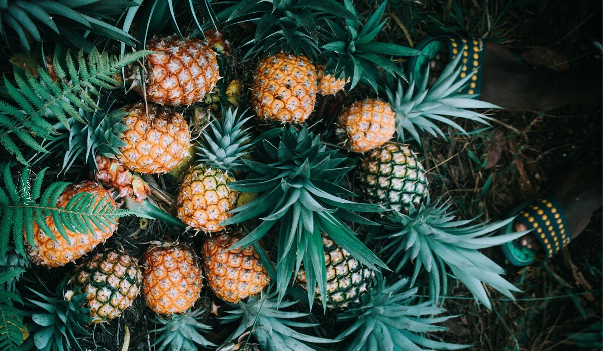 Is Buying Organic Healthier?