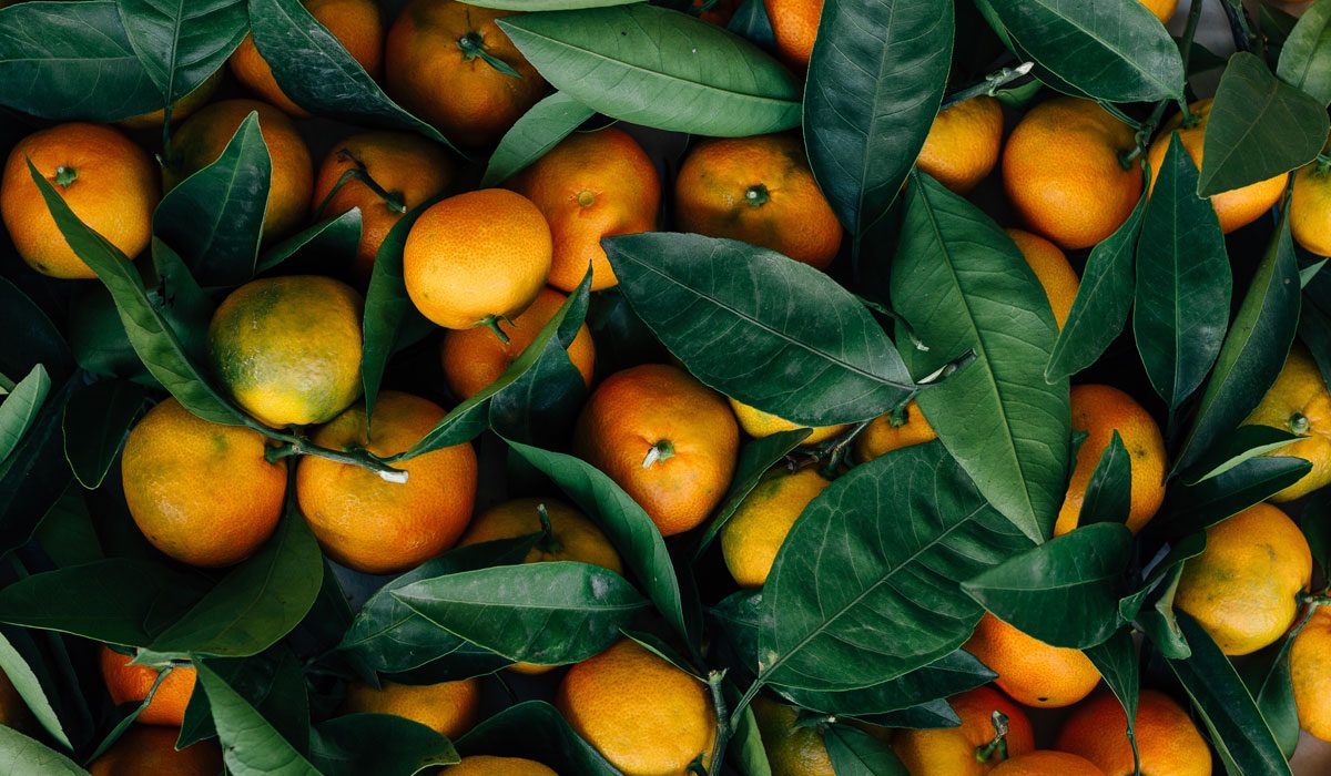 5 Ways Home Gardeners Can Make More Robust Soil