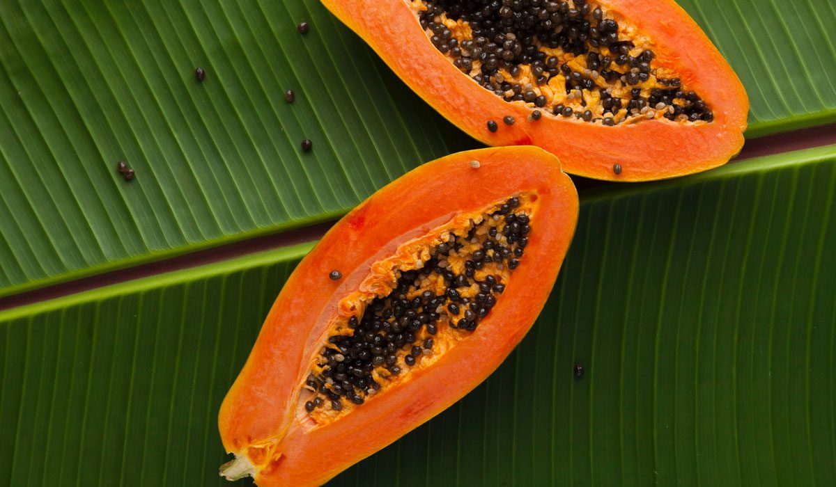 8 Healing Herbs You Can Grow